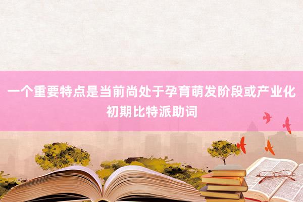 一个重要特点是当前尚处于孕育萌发阶段或产业化初期比特派助词