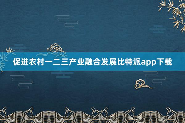 促进农村一二三产业融合发展比特派app下载