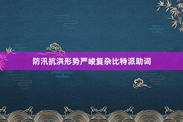 防汛抗洪形势严峻复杂比特派助词