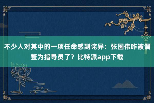 不少人对其中的一项任命感到诧异：张国伟咋被调整为指导员了？比特派app下载