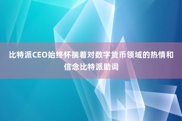 比特派CEO始终怀揣着对数字货币领域的热情和信念比特派助词