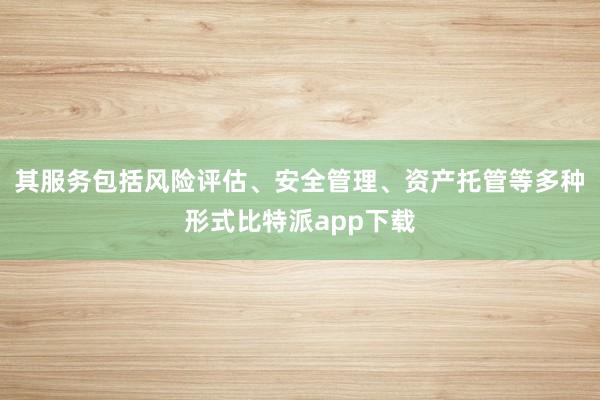 其服务包括风险评估、安全管理、资产托管等多种形式比特派app下载