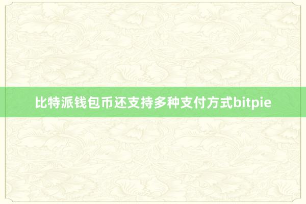 比特派钱包币还支持多种支付方式bitpie