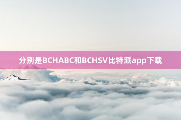 分别是BCHABC和BCHSV比特派app下载