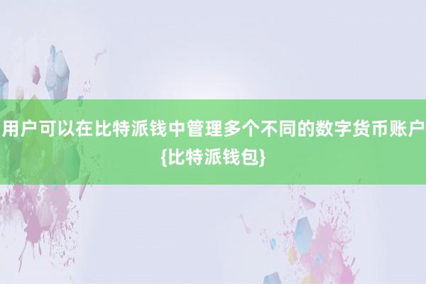 用户可以在比特派钱中管理多个不同的数字货币账户{比特派钱包}