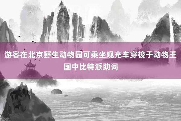 游客在北京野生动物园可乘坐观光车穿梭于动物王国中比特派助词