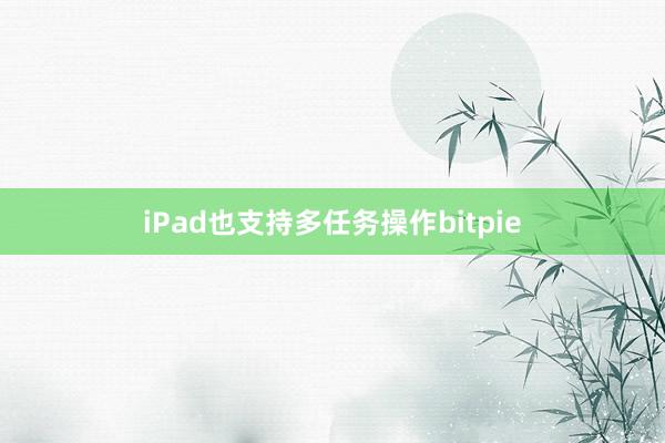 iPad也支持多任务操作bitpie