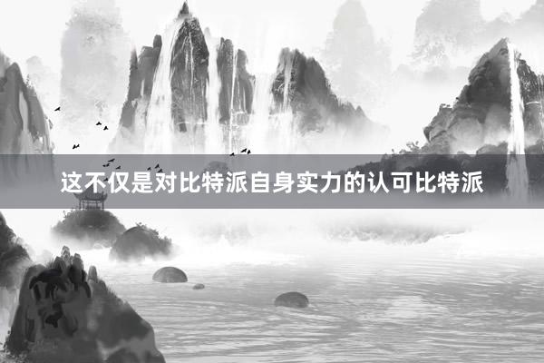 这不仅是对比特派自身实力的认可比特派