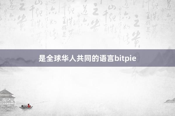 是全球华人共同的语言bitpie