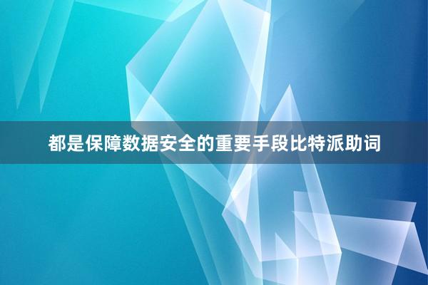 都是保障数据安全的重要手段比特派助词