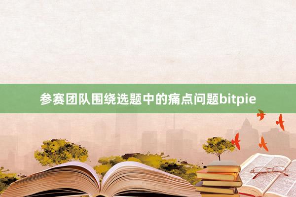 参赛团队围绕选题中的痛点问题bitpie