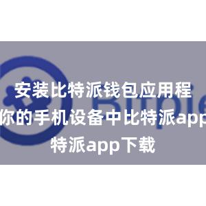 安装比特派钱包应用程序到你的手机设备中比特派app下载