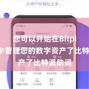 您可以开始在Bitpie钱包中管理您的数字资产了比特派助词