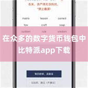 在众多的数字货币钱包中比特派app下载