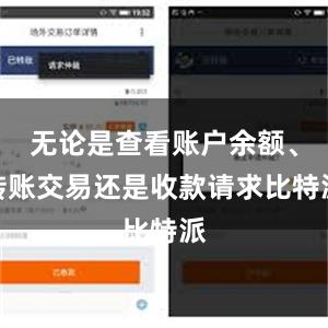 无论是查看账户余额、转账交易还是收款请求比特派