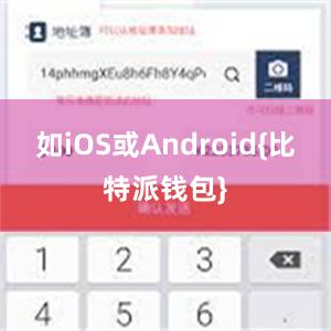 如iOS或Android{比特派钱包}