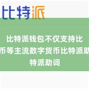 比特派钱包不仅支持比特币等主流数字货币比特派助词