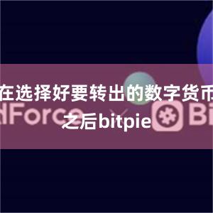 在选择好要转出的数字货币之后bitpie