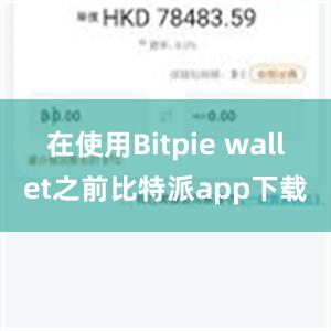 在使用Bitpie wallet之前比特派app下载