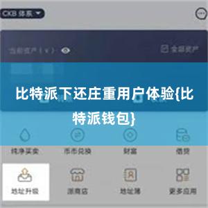 比特派下还庄重用户体验{比特派钱包}
