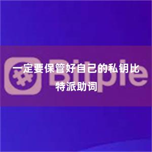 一定要保管好自己的私钥比特派助词