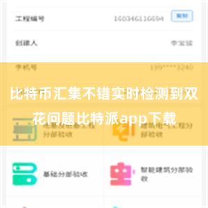 比特币汇集不错实时检测到双花问题比特派app下载