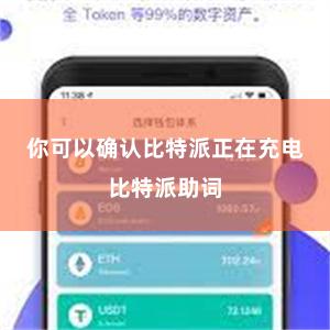 你可以确认比特派正在充电比特派助词